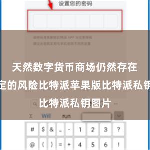 天然数字货币商场仍然存在着一定的风险比特派苹果版比特派私钥图片