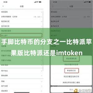 手脚比特币的分支之一比特派苹果版比特派还是imtoken