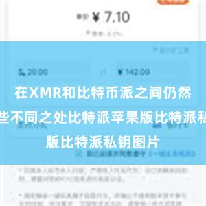 在XMR和比特币派之间仍然存在一些不同之处比特派苹果版比特派私钥图片