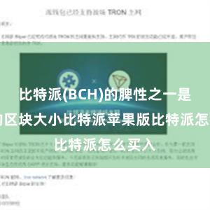 比特派(BCH)的脾性之一是8MB的区块大小比特派苹果版比特派怎么买入