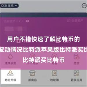 用户不错快速了解比特币的价钱波动情况比特派苹果版比特派买比特币