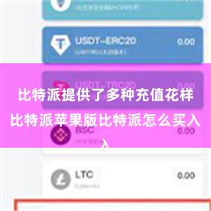 比特派提供了多种充值花样比特派苹果版比特派怎么买入