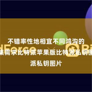 不错率性地相宜不同鸿沟的收集需求比特派苹果版比特派私钥图片